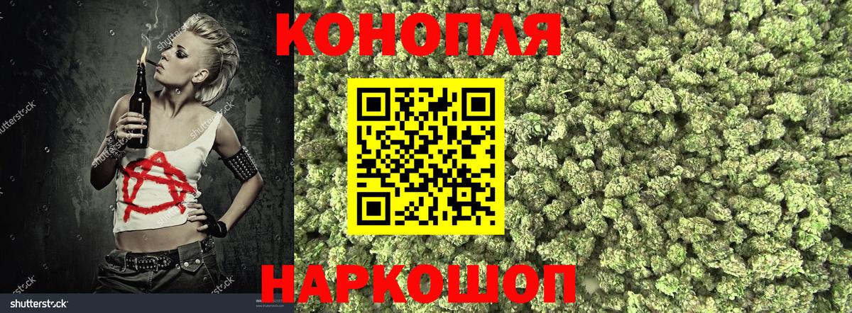 Каннабис план Большой Камень